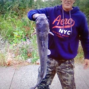 Meet your Posher, Todd